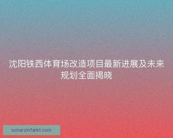沈阳铁西体育场改造项目最新进展及未来规划全面揭晓